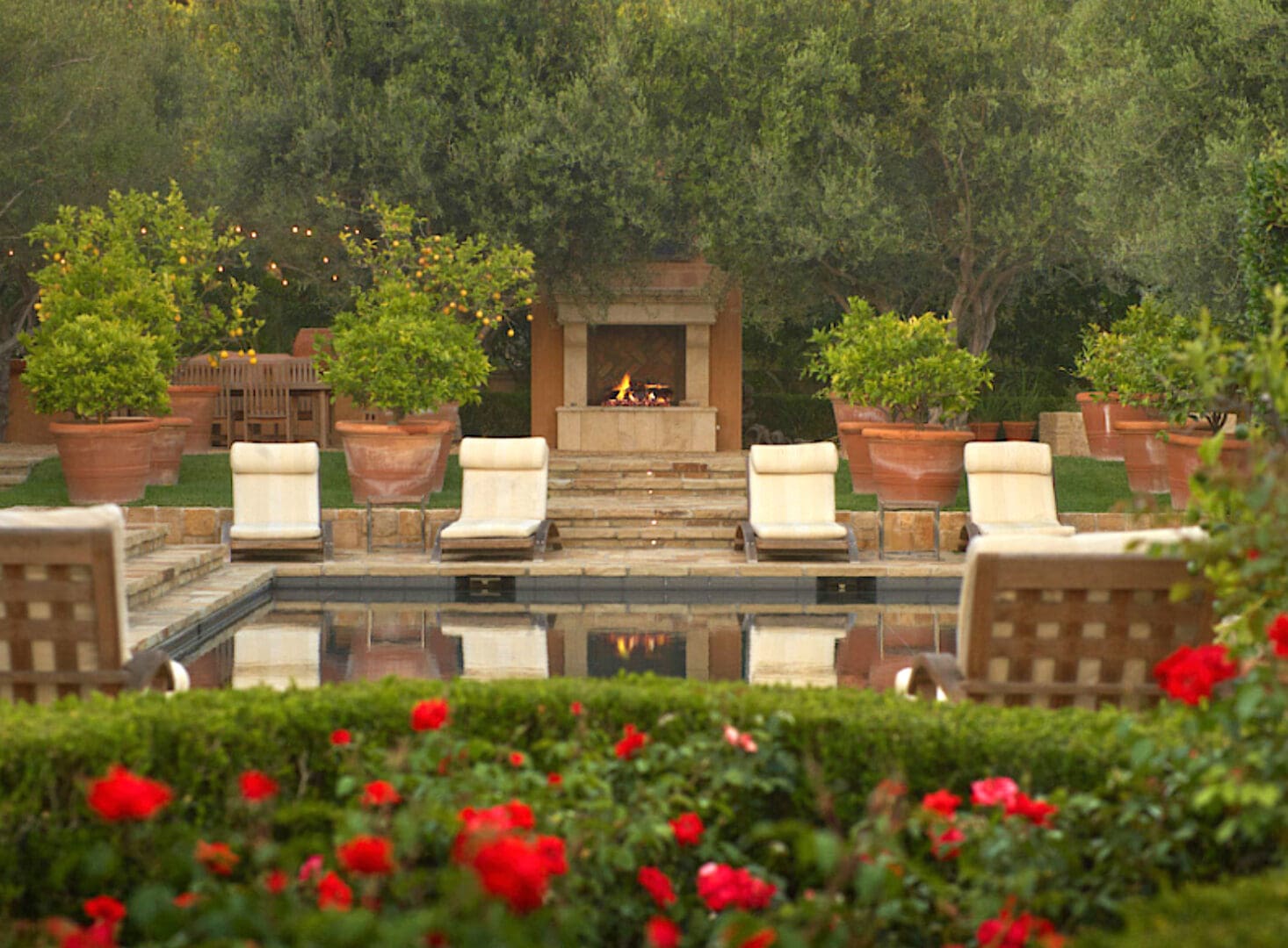 A pool with chairs and flowers around it